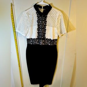 New Classic Fitted Sexy & Corporate Zara Women Dress Beautiful Lace Details